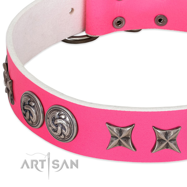 Natural leather collar with significant adornments for your four-legged friend