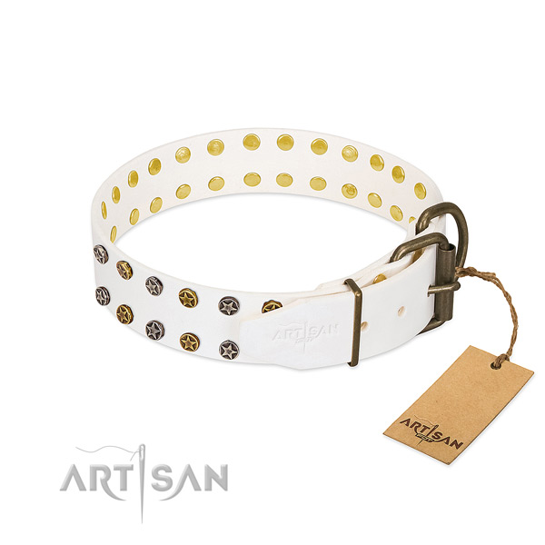 Full grain genuine leather collar with unique embellishments for your canine