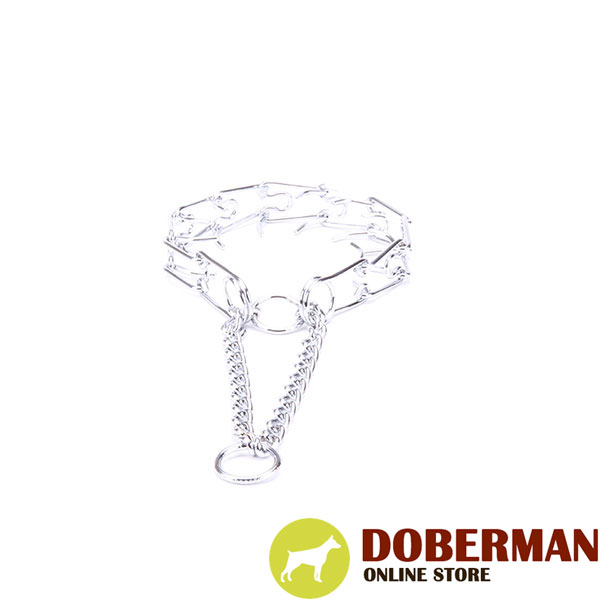 Dog prong collar of chrome plated steel for badly behaved pets