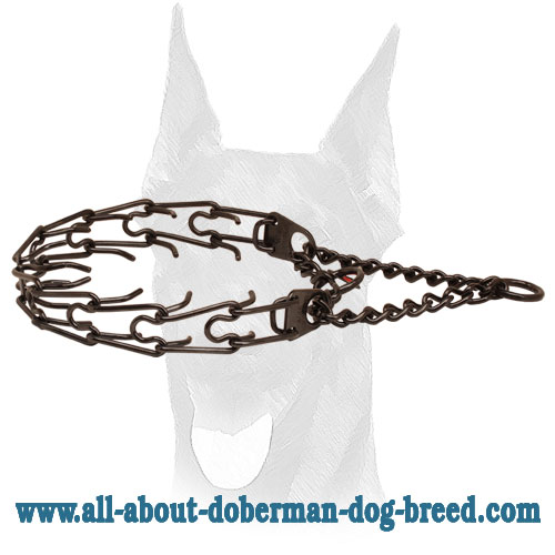 Black stainless steel prong collar for ill behaved canines