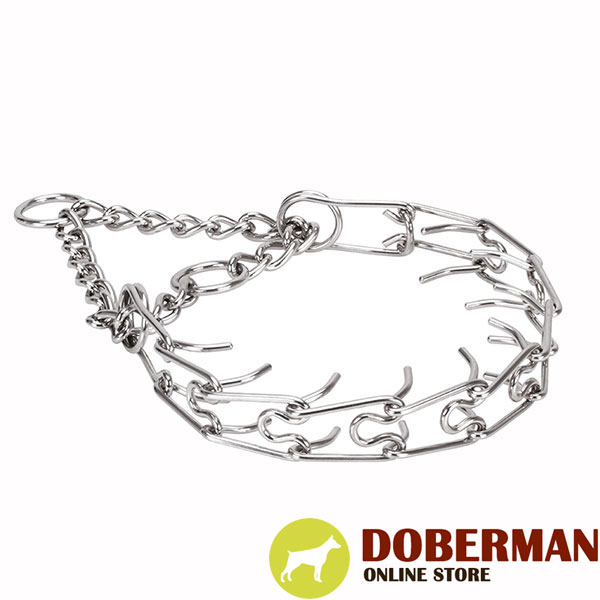 Stainless steel prong collar for ill behaved canines