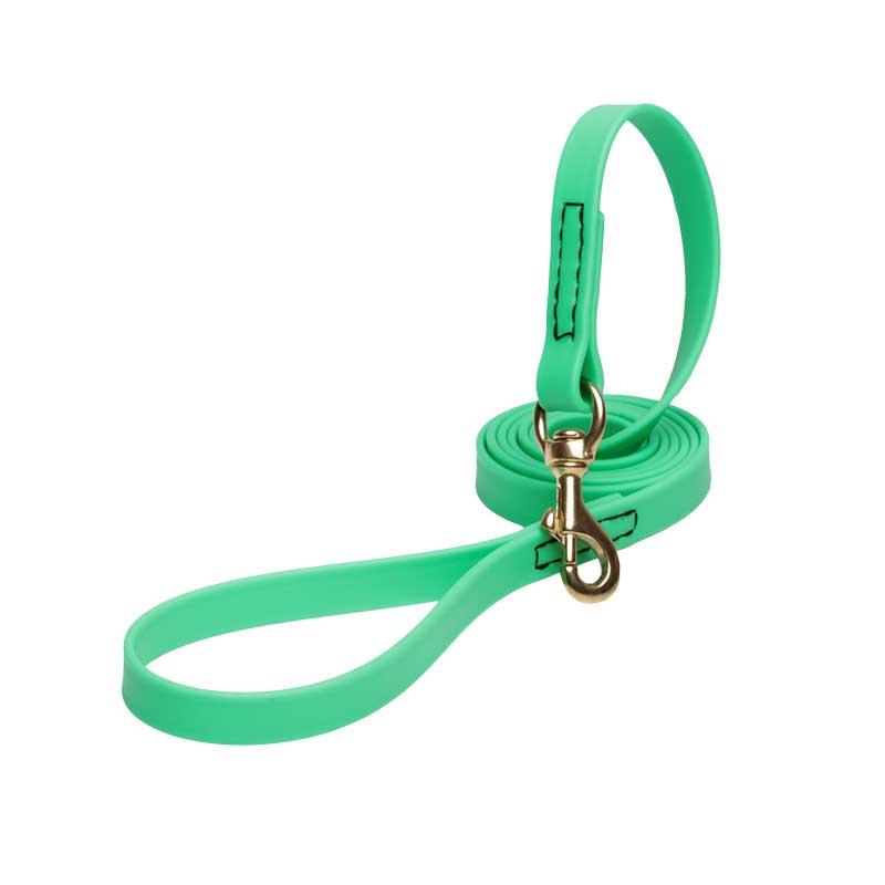 Green Waterproof Doberman Leash Made of Biothane - Click Image to Close