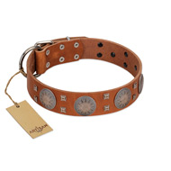 "Sun Rise Noon" FDT Artisan Tan Leather Doberman Collar with Unique Design