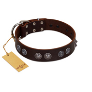 "King Arthur" FDT Artisan Brown Leather Doberman Collar with Spiky Plates