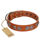 "Woofy Majesty" FDT Artisan Tan Leather Doberman Collar with Round Silver-like Plates