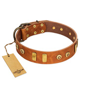 "Egyptian Script" FDT Artisan Tan Leather Doberman Collar with Plates and Small Studs