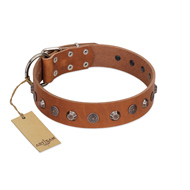 "Silver Age" Fashionable FDT Artisan Tan Leather Doberman Collar with Silver-Like Studs