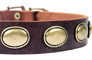 High Quality Leather Dog Collar for Doberman