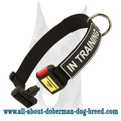 Training nylon collar for Doberman