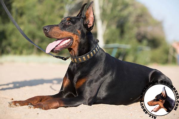 Durable and comfortable Doberman leather collar 