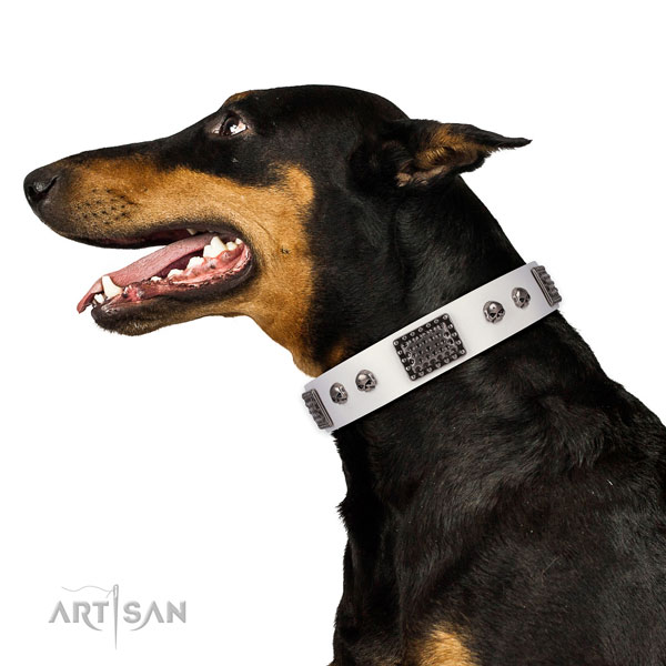 Perfect fit leather collar for your impressive pet