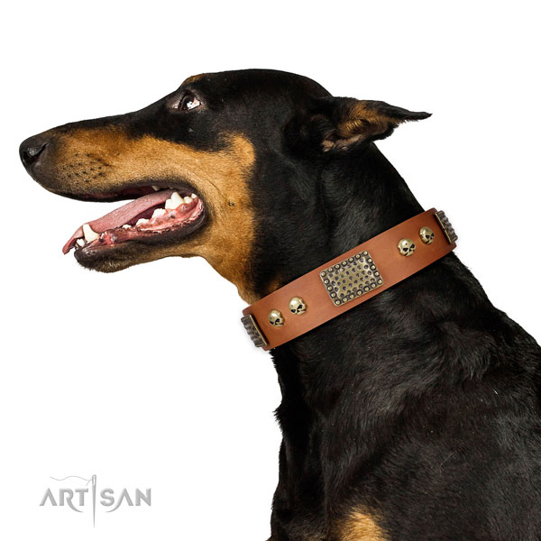 Strong traditional buckle on full grain leather dog collar for basic training