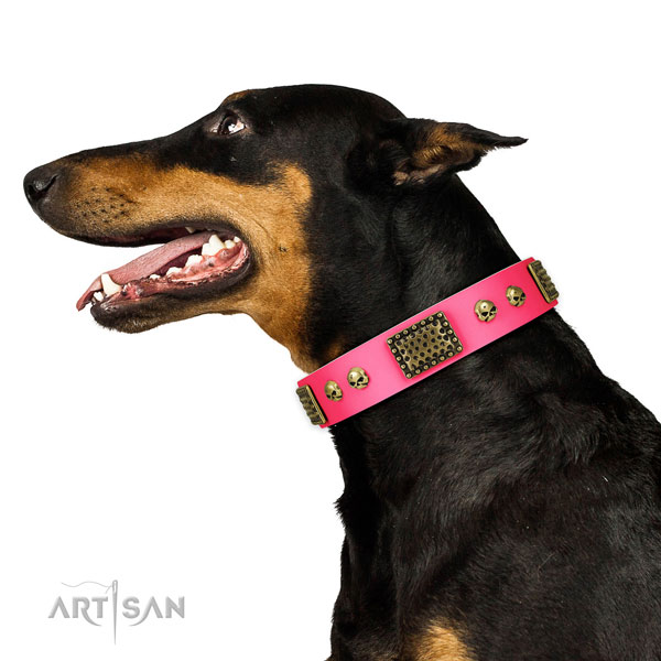 Durable fittings on leather dog collar for fancy walking
