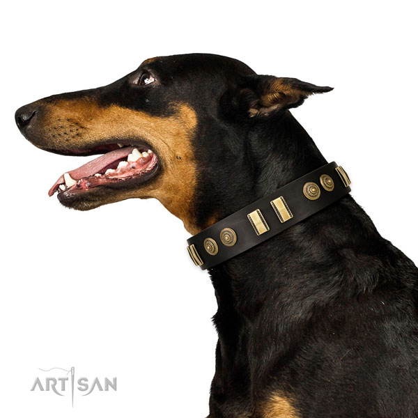 Corrosion resistant buckle on genuine leather dog collar for everyday use