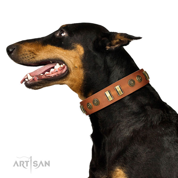 Corrosion resistant buckle on leather dog collar for comfy wearing