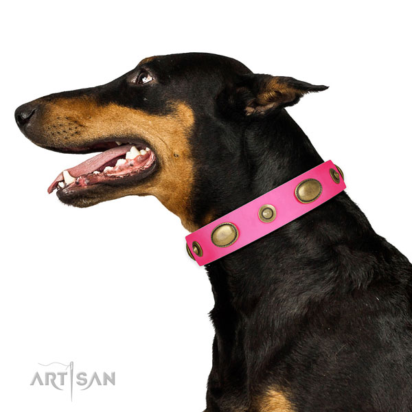 Easy wearing dog collar of genuine leather with significant studs