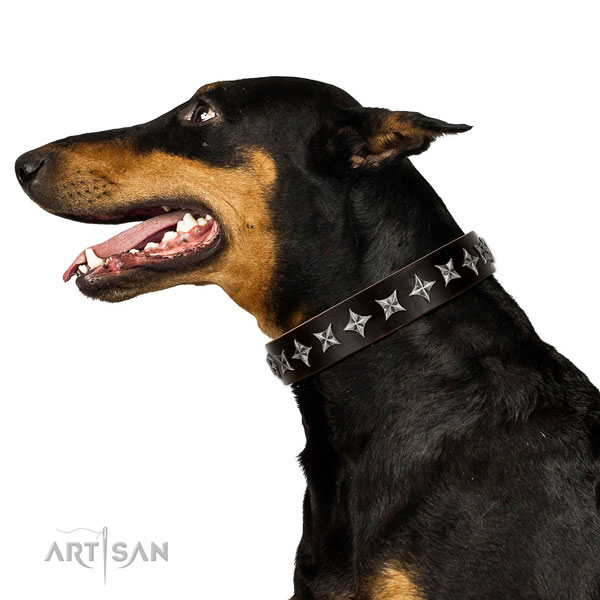 Basic training embellished dog collar of best quality natural leather