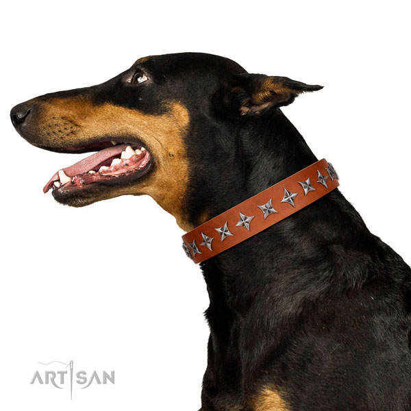 Comfy wearing decorated dog collar of finest quality leather