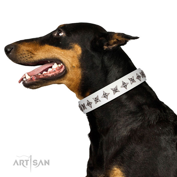 Top quality leather dog collar with extraordinary embellishments
