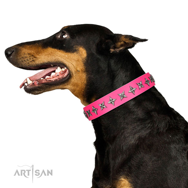 Durable genuine leather dog collar with inimitable embellishments