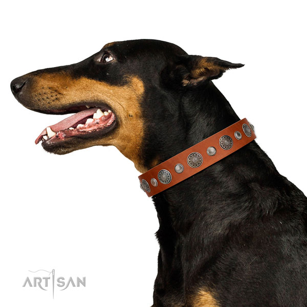 Exquisite full grain leather dog collar with rust-proof fittings