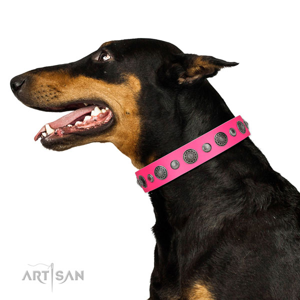 Easy wearing natural leather dog collar with rust resistant fittings