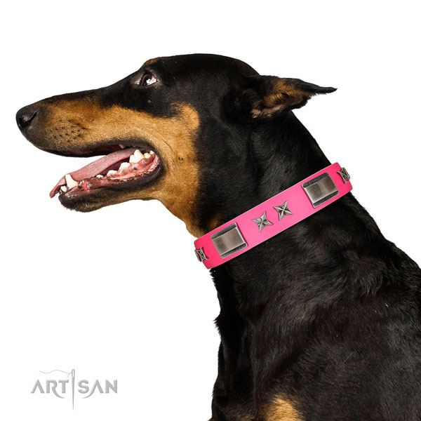 Amazing collar of full grain leather for your stylish four-legged friend
