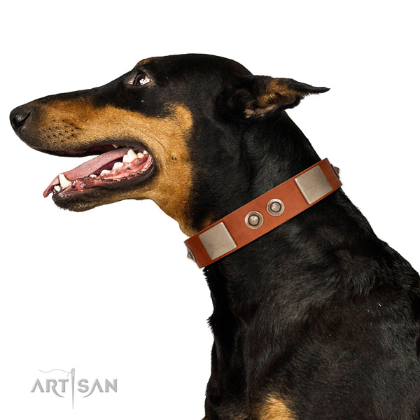 Corrosion proof D-ring on genuine leather dog collar for stylish walking