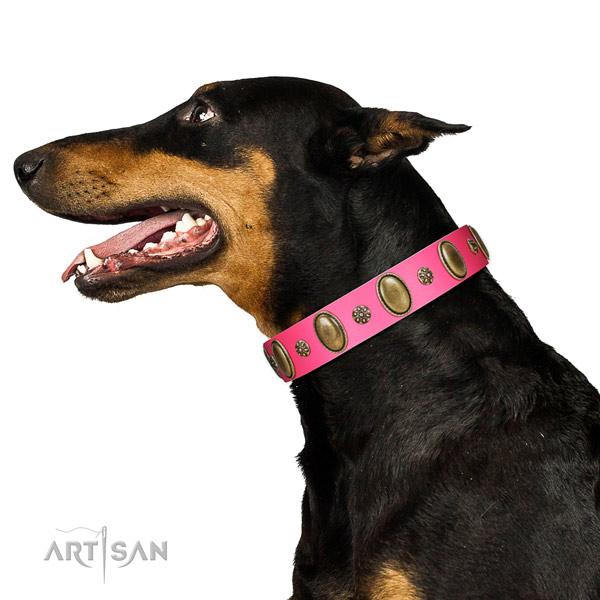 Stylish walking gentle to touch leather dog collar with embellishments