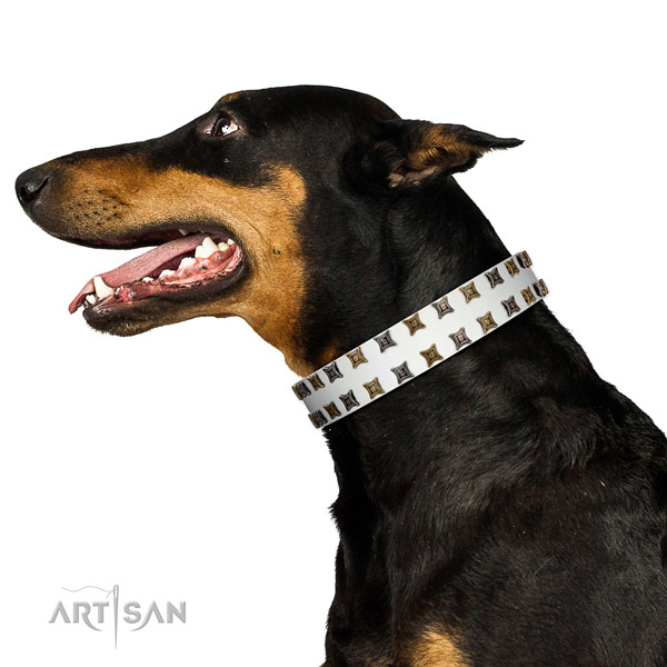 Durable genuine leather dog collar with embellishments for your doggie