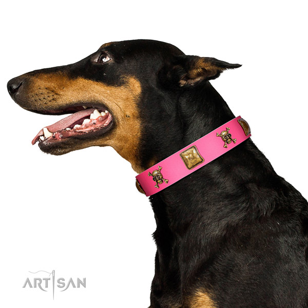 Full grain leather dog collar with inimitable decorations for everyday walking