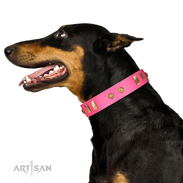Genuine leather dog collar with fashionable decorations for daily walking