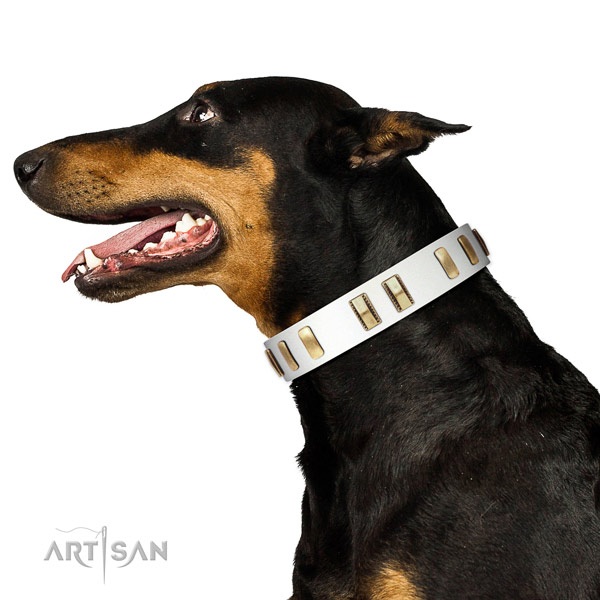 Full grain leather dog collar with exceptional adornments for everyday walking