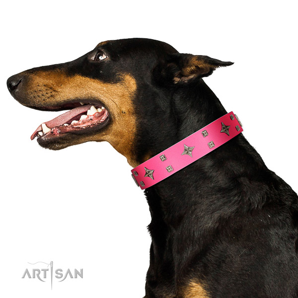 Significant full grain leather collar with embellishments for your pet