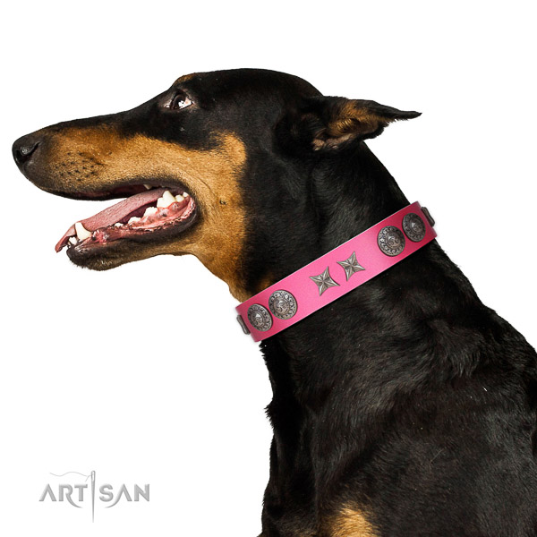 Full grain natural leather dog collar of flexible material with extraordinary decorations