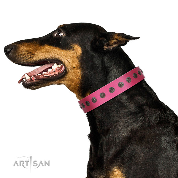 Inimitable leather collar for stylish walking your dog