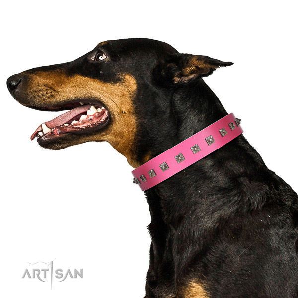 Significant studded full grain natural leather dog collar