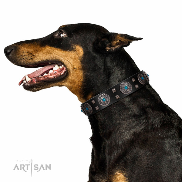 Comfy wearing natural leather dog collar with fashionable adornments