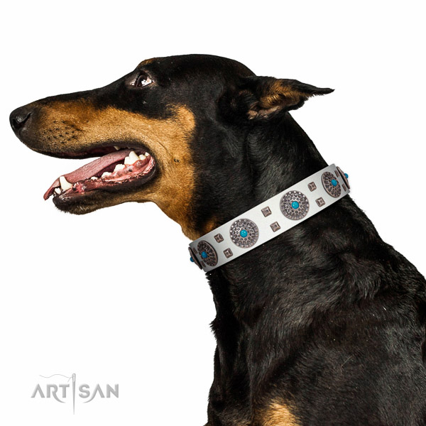 Comfortable wearing natural leather dog collar with impressive studs
