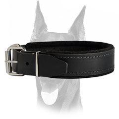 Inside padded collar