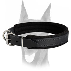 ! inch wide leather collar