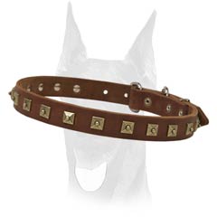 Luxury leather collar