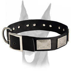 2 ply durable nylon collar