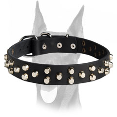 Good looking leather collar