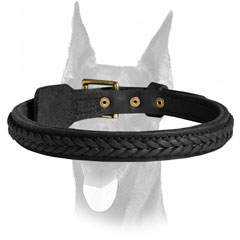 Stylish leather collar