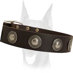 Decorated leather collar