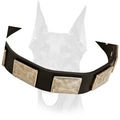 Walking leather Doberman collar