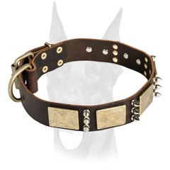 Extraordinary design collar