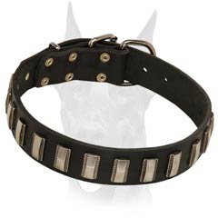 Extra wide leather collar