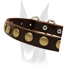 Extreme comfort leather collar